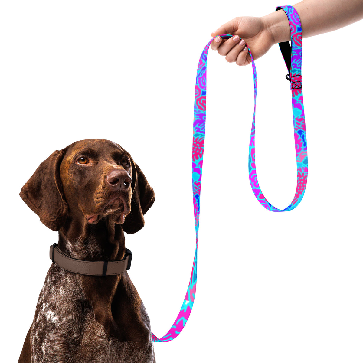 Festipop Pet leash featuring original Smutpop artwork